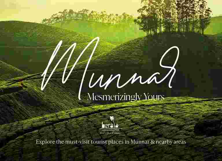 Madurai kodaikanal Munnar Thekkady Alappuzha Cochin Tour Package