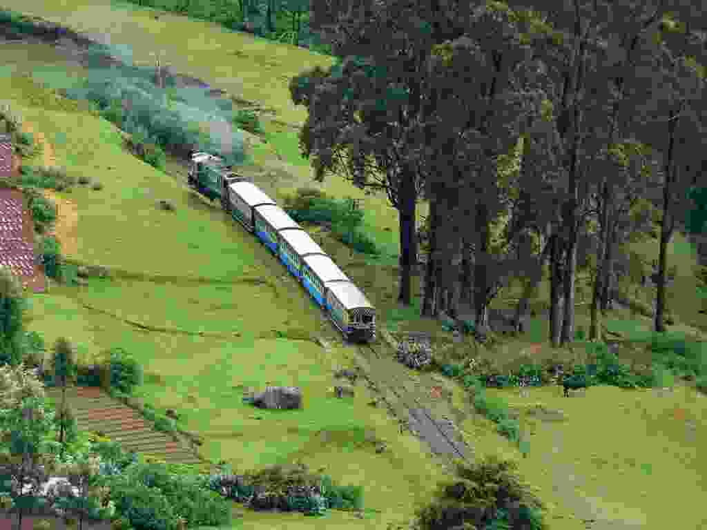 Madurai Kodaikanal Ooty Wayanad Coorg Mysore Bangalore Tour Package
