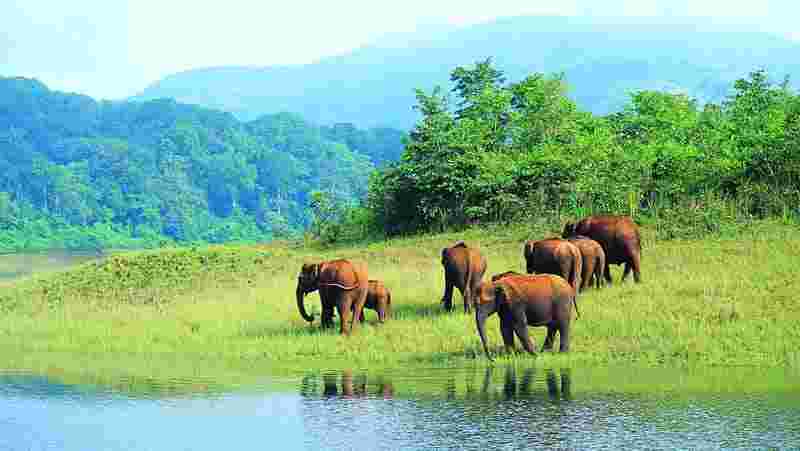 Madurai kodaikanal Munnar Thekkady Alappuzha Cochin Tour Package
